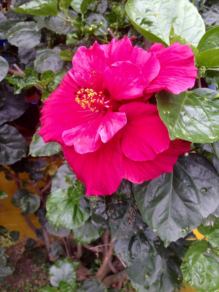 DeningVova's tweet photo. Yet another beautiful day in Colombia http://t.co/UH5OpTSR5x