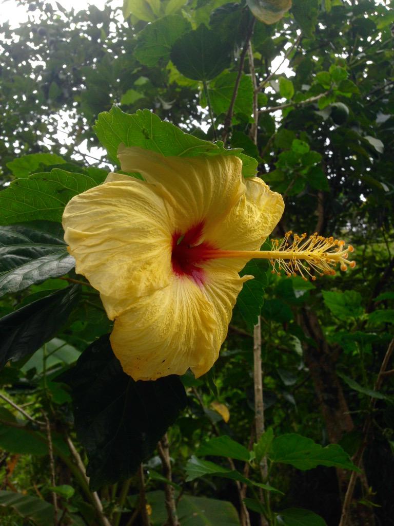 DeningVova's tweet photo. Yet another beautiful day in Colombia http://t.co/UH5OpTSR5x