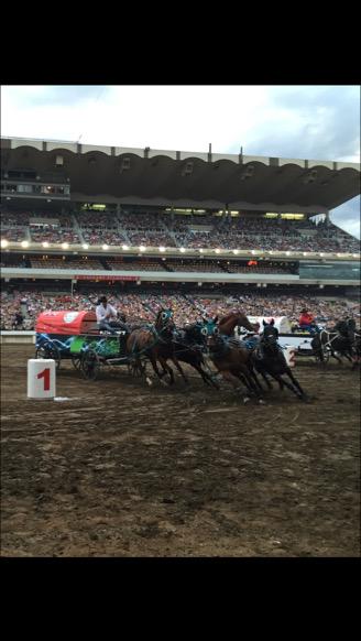 Kurt Bensmiller taking off at the horn in Heat 9 at the 2015 Rangeland Derby finals!