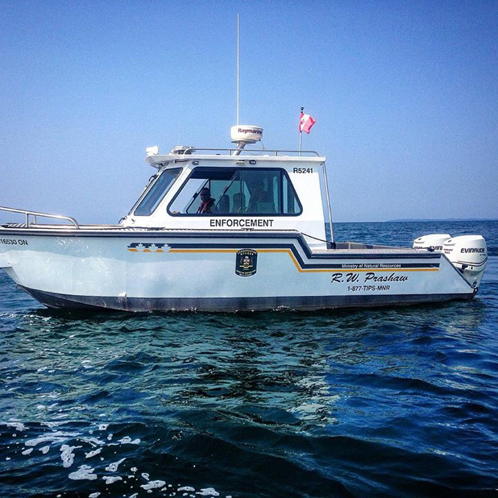 Dan Trozzi tweet media