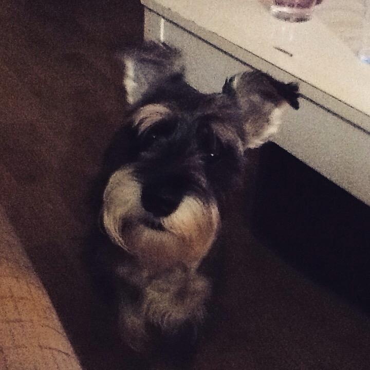 HoshiMiguel's tweet photo. Muy buenas noches colegas...Hemos superado nuestro récord de seguidores así que muchísimas gracias http://t.co/bL3xp7DpIs