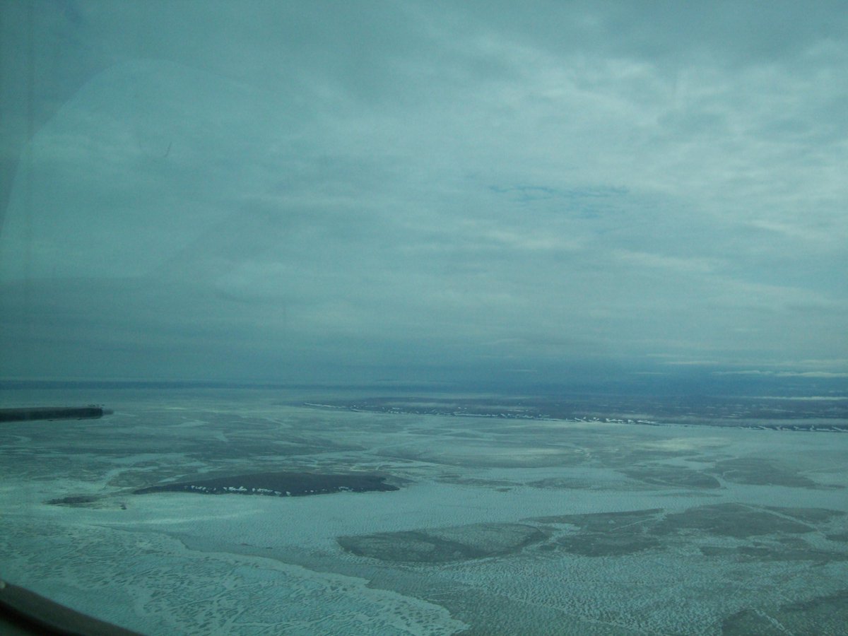 sHELLNoAlaska's tweet image. Our Blog: What the sHELL will happen to the Polar Bears? tinyurl.com/nunt75c #ShellNo #ShellNoAlaska