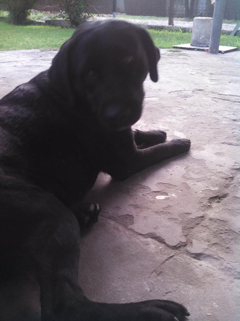 hernanulrich's tweet image. como te ectraño mi bebe, donde estes cuidate muchooooo