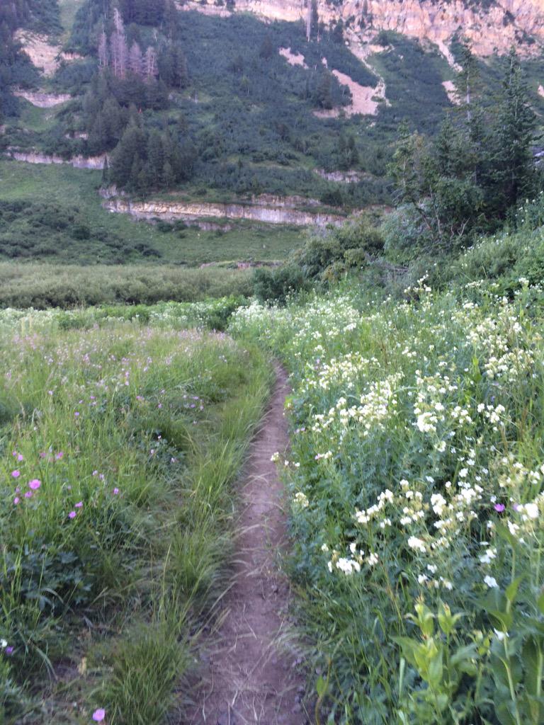 POSINATURE tweet picture