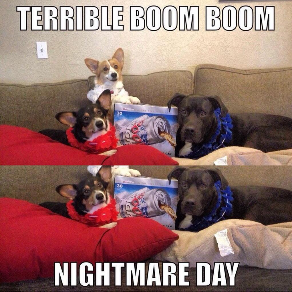 DamianVanore23's tweet photo. #OneDayManWill Invent Dog Friendly Fireworks #Scientists http://t.co/O5xZL37Koe