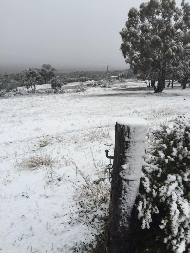 Snow Pics From Carwoola East Of Queanbeyan 7 News Viewer Photo Julie Wallace Snow 7news Sydney Scoopnest