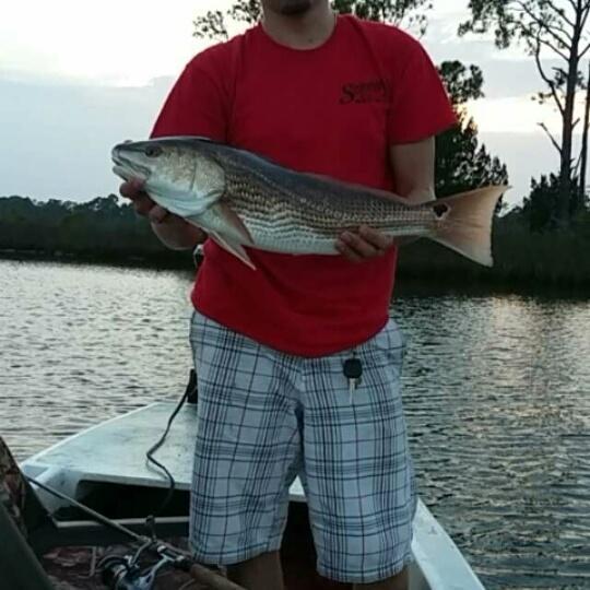 Flanagan952's tweet photo. Got this stud today http://t.co/YTeBeDvsWC