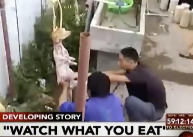 Video - TRINIDAD &amp; TOBAGO: dog meat uncovered: saynotodogmeat.net/2015/07/11/vid… #saynotodogmeat