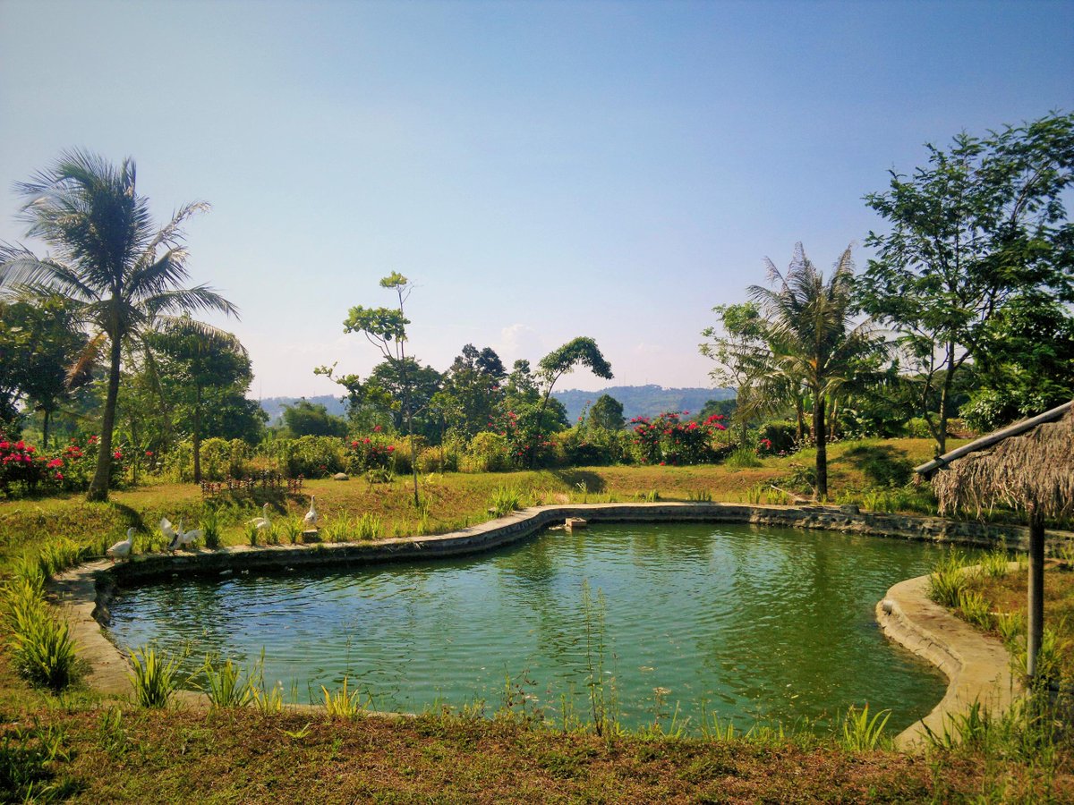 3g Resort On Twitter Area Kolam Pancing Dengan Jenis Ikan Nila