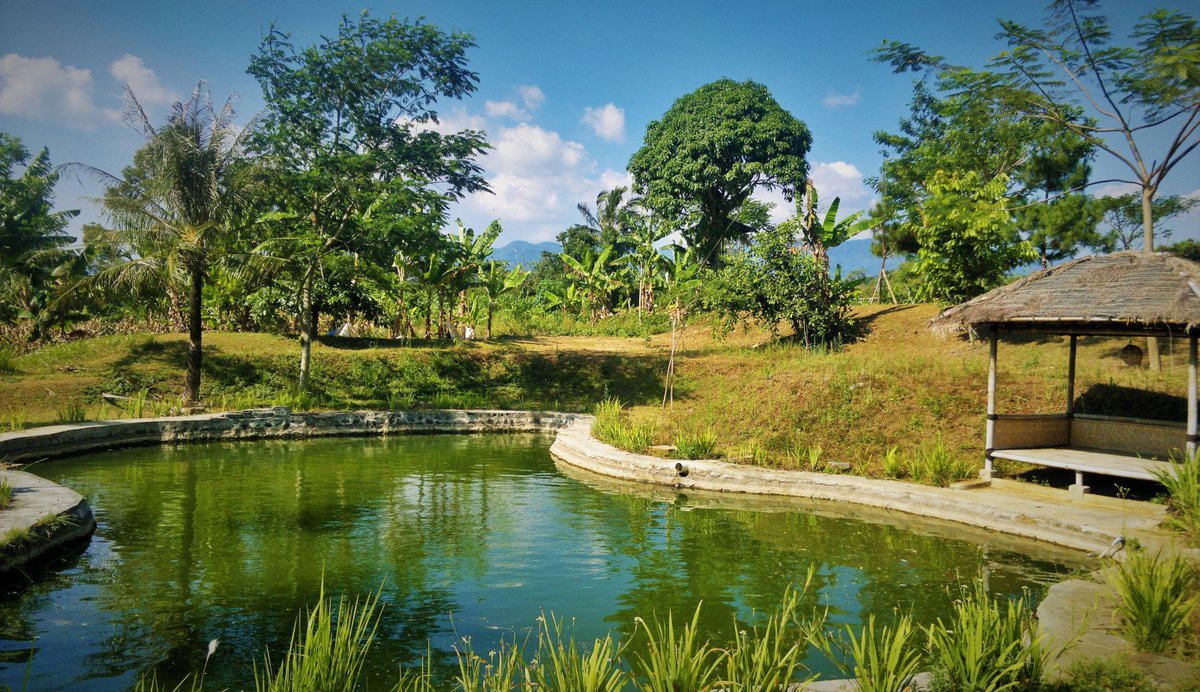 3g Resort On Twitter Area Kolam Pancing Dengan Jenis Ikan Nila