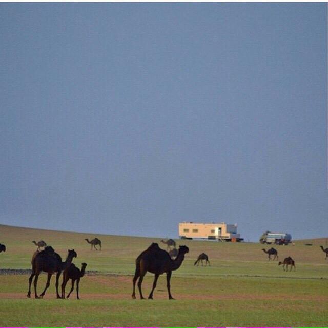 bs2023's tweet image. 