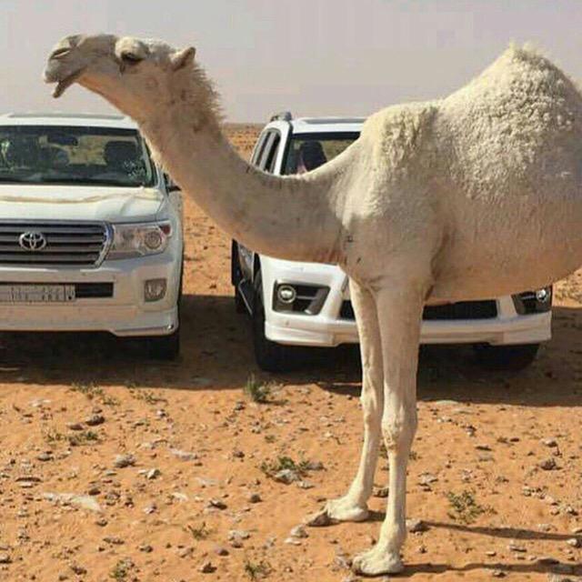 bs2023's tweet image. 