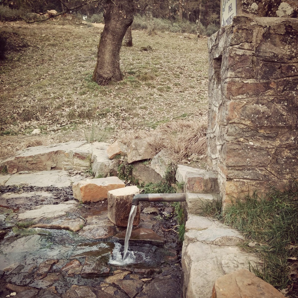 Blog_LGS's tweet image. Nueva entrada en el blog: El agua laguiadelsuperviviente.com/2015/07/el-agu… #supervivencia #survival