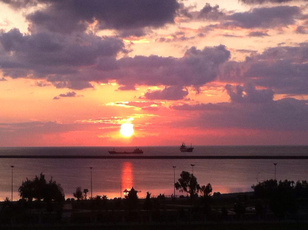 Harry Mitsidis tweet media