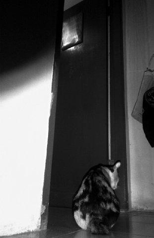 I'm here, alone, without you my husband. You left me, when i'm pregnant. Don't know what should i do it again. -momo