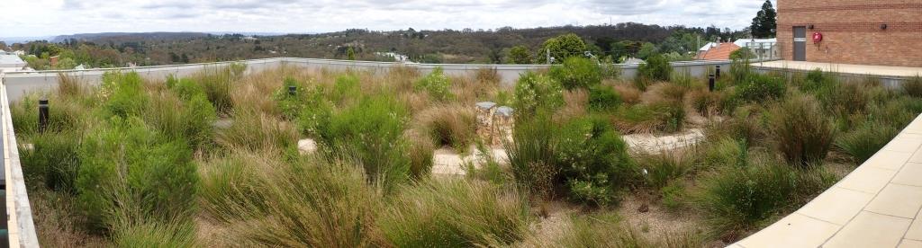 2.5 yrs on &amp; our greenroof water treatment design at Katoomba's <a href="/Cultural_Centre/">BM Cultural Centre</a> is a star!
alluvium.com.au/Blog.aspx