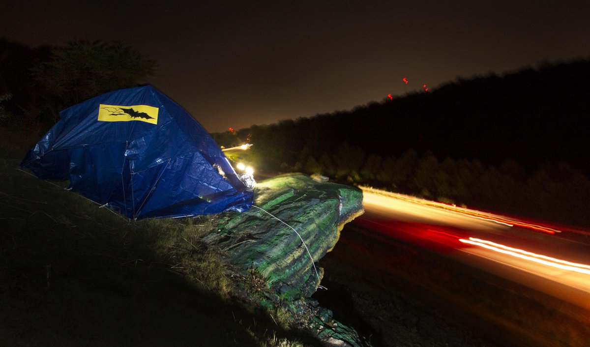 derik holtmann (@photodsh) on Twitter photo I believe that is a working headlamp on the frog #nss2015 <a href="/NSS2015/">NSS 2015 Convention</a> <a href="/NSScaves/">Nat'l Speleo Society</a> #batsticker <a href="/PulCoUSA/">Pulaski County USA</a> I believe that is a working headlamp on the frog #nss2015 <a href="/NSS2015/">NSS 2015 Convention</a> <a href="/NSScaves/">Nat'l Speleo Society</a> #batsticker <a href="/PulCoUSA/">Pulaski County USA</a>