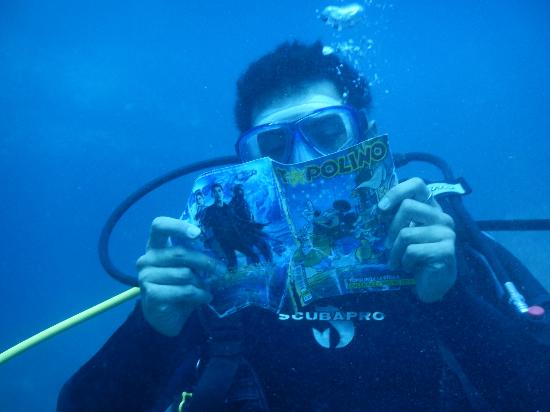 medusadive's tweet image. Conoces la teoría del buceo? Lee nuestra entrada de blog sobre paradas profundas medusadive.com/blog/item/212-…