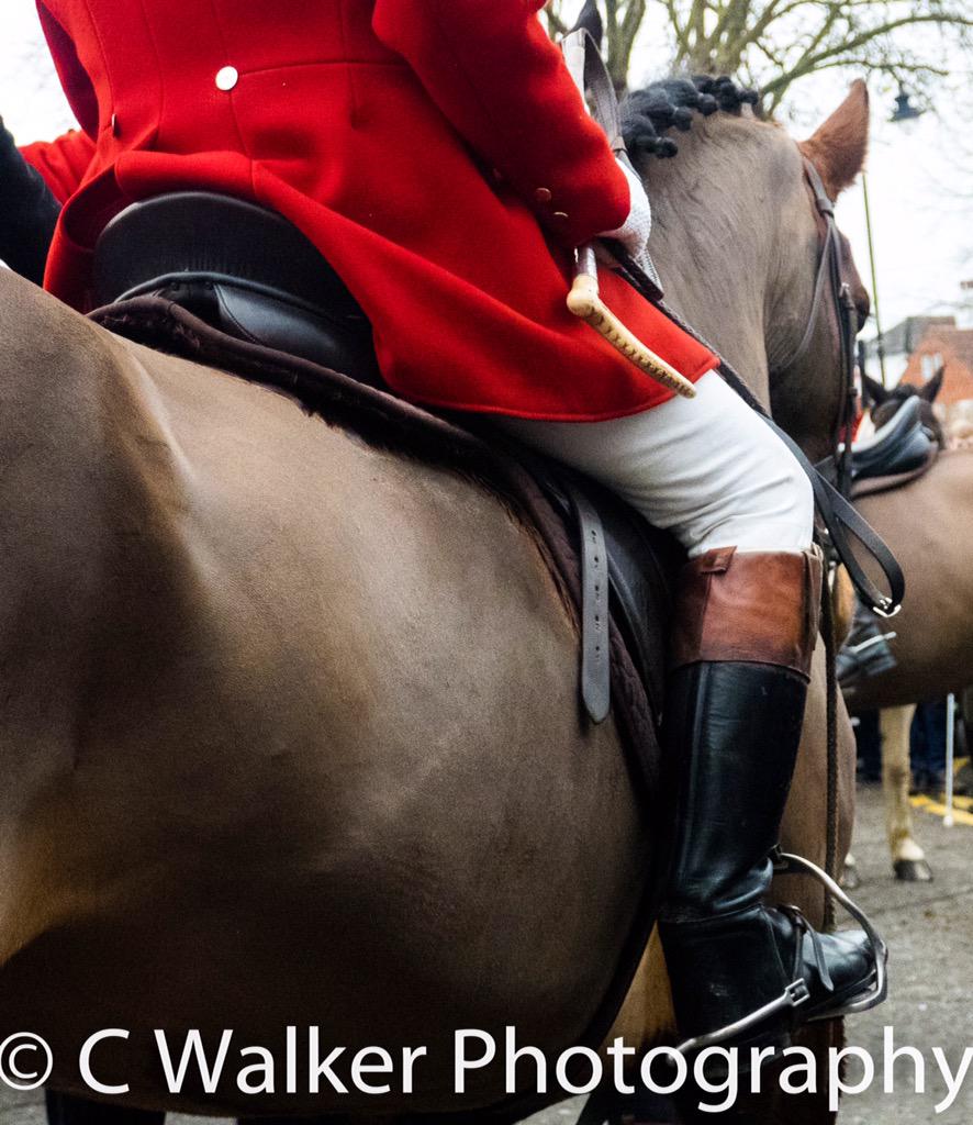 cwalkerphoto's tweet image. act.voteaction.uk/a/76 #bantheban #prohunting #BringBackFoxhunting