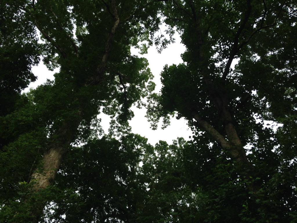 I woke up to another morning and God's vote of confidence that today I might do it better.