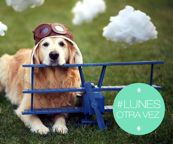carrerasdc's tweet photo. #BuenLunes HOY en muy.... #LunesOtraVez ¡¡Buen inicio de semana para todos!! http://t.co/K33EyyugoR