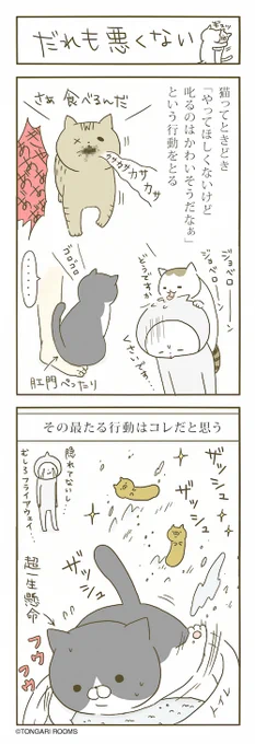 猫まんが。 