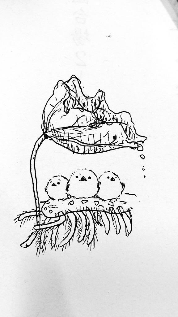 コリンズ・モンスターとシマエナガちゃん 