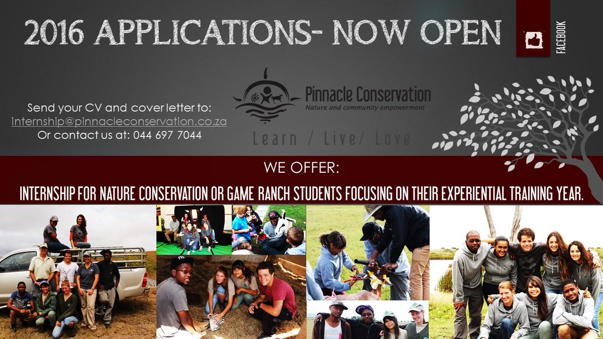 PinnacleConservation tweet media