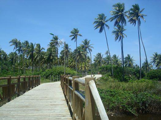 MgrstDas's tweet photo. A relaxing walk in the morning! http://t.co/r0anPPRvUb and http://t.co/v6WgIhVXNd Imbassaí #BeachBrazil http://t.co/Kov0jS39Uu