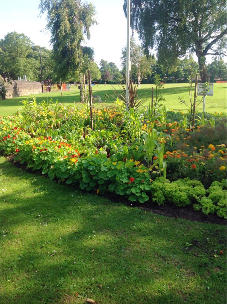 CalverleyBloom's tweet photo. Picture perfect #flowers in Victoria Park #Calverley #summer @YorkshireBloom http://t.co/XKXTaxuPX1