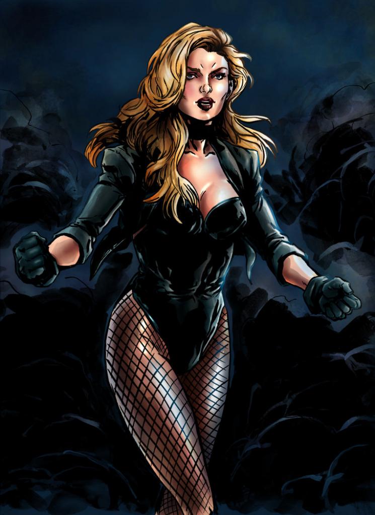 comic_showdown's tweet photo. Who would win?RT for #BlackCanaryFAV for #BlackWidow http://t.co/V4AoHQR82r