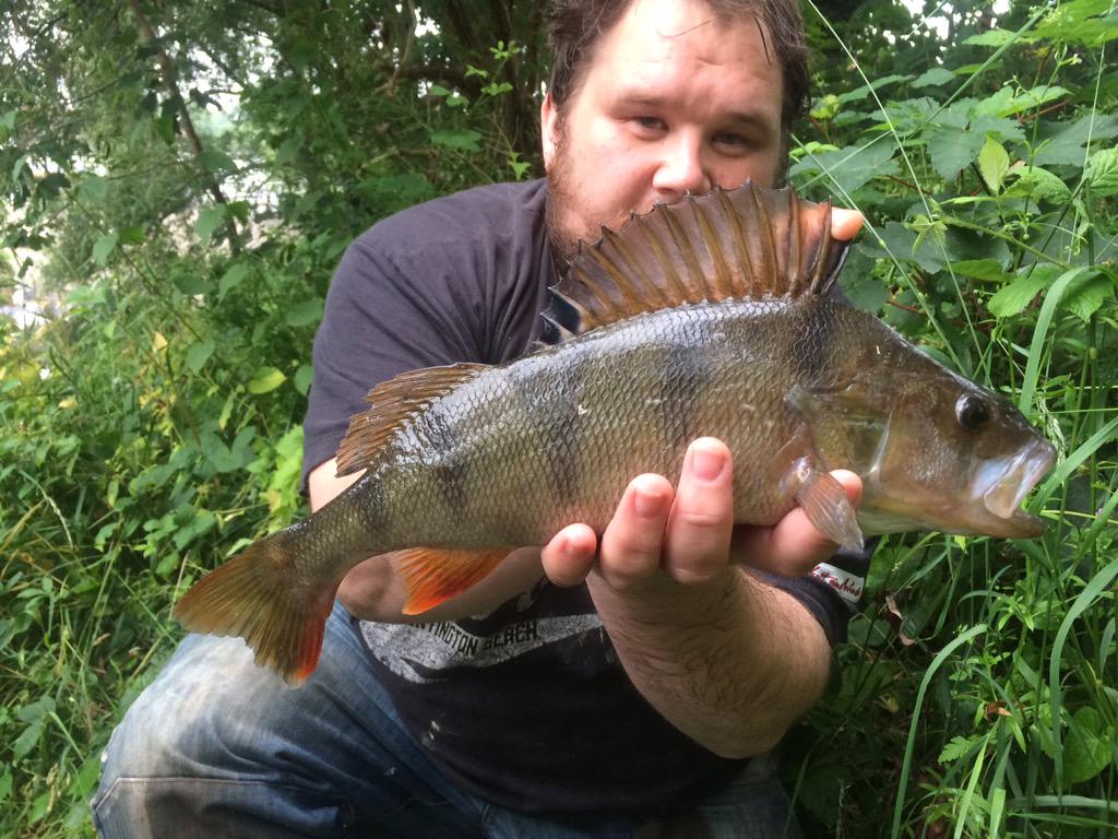 WBMCarpFishing's tweet image. #MustReadBlog from @satonmyperch with his latest blog effort.
satonmyperch.blogspot.co.uk/2015/07/tough-…