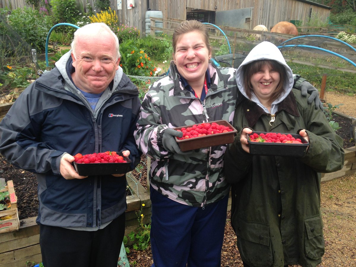 OuseburnFarm's tweet image. #Comeondown
#Raspberrypicking
@OuseburnFarm