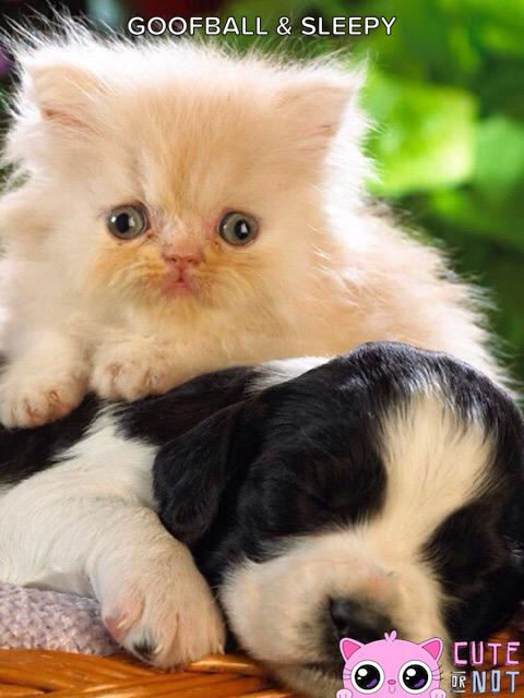 buddies4lyfe