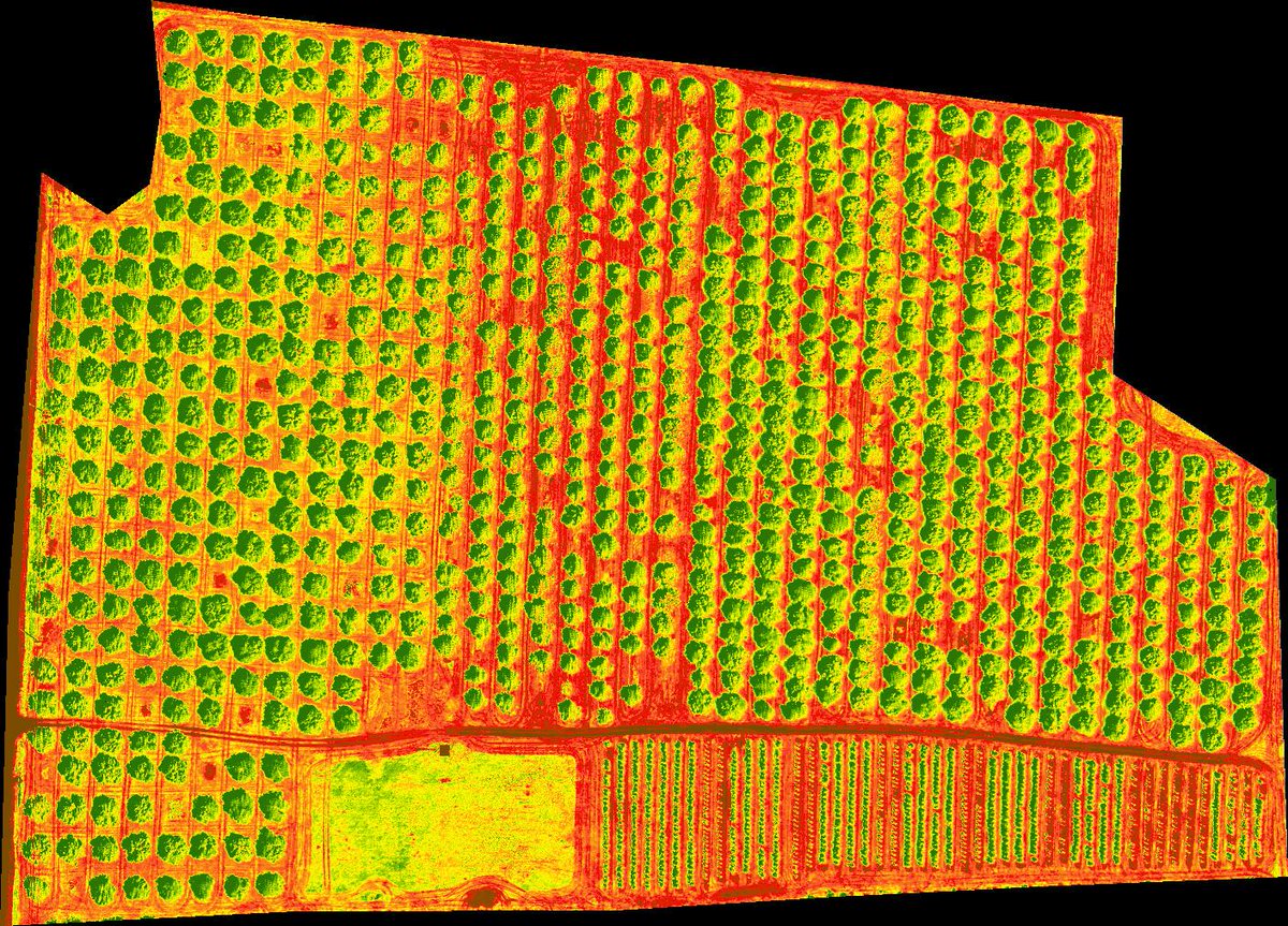empire_ag_img's tweet photo. Mapping fire blight damage in an apple orchard with #NDVI imagery, https://t.co/pBkzkvGBiK … http://t.co/HTOvjpjltN
