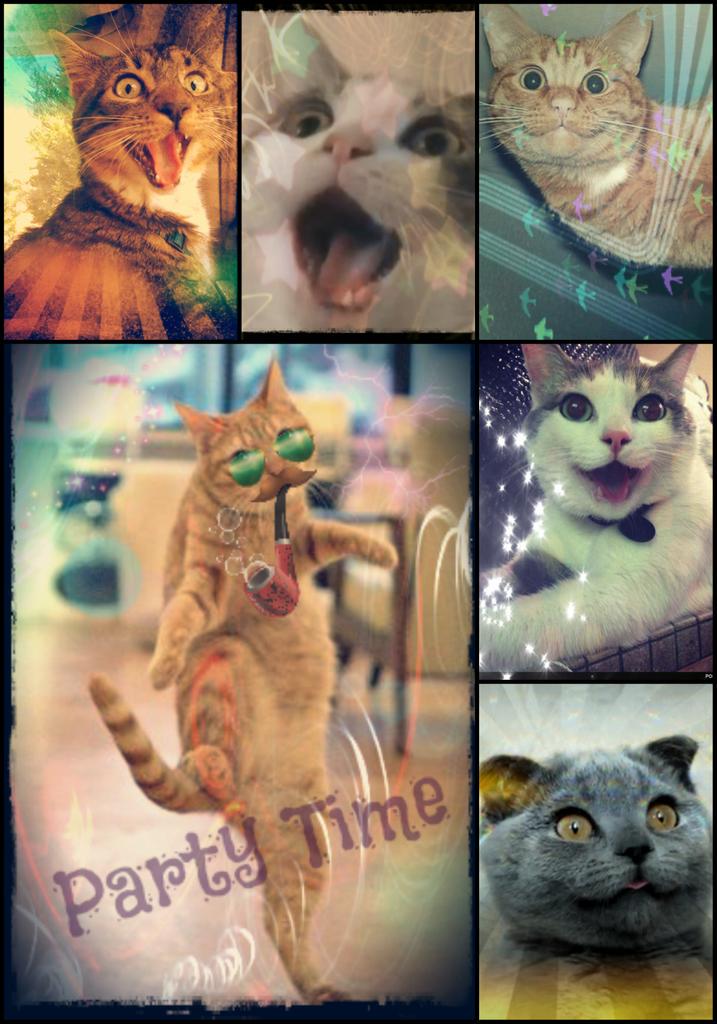 Akhenaten KeeKee X tweet media