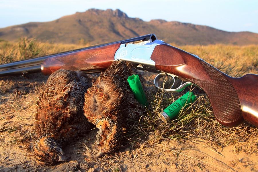 WingshootAfrica's tweet photo. A brace of Greywing, Karoo Highlands, SA #wingshootingtheworld #wingshootafrica #eley @eleyammunition #CZ @CZUSA http://t.co/RyPpGCSUQj
