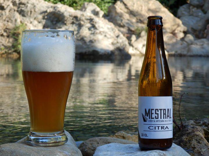 MESTRALCERVESA's tweet photo. Al riu Senia 8:30, que be!!! http://t.co/mLt92rvSSi