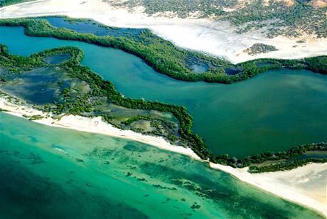 mecofeven's tweet photo. #SabíasQue Venezuela está en los 10 países de mayor biodiversidad del planeta #LagunaLaRestinga #Venezuela Protégelo http://t.co/CsieK2NmNH