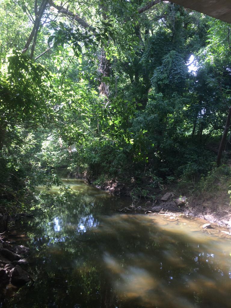 TapperBabs's tweet image. It's so pretty outside!! #Texas #beautiful #foreveratexan