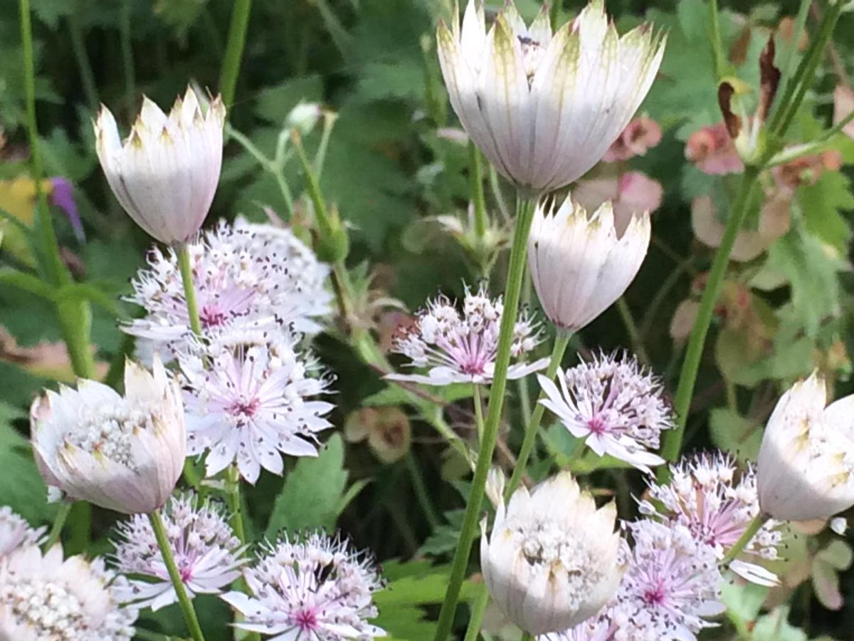 boxedviolet's tweet image. Perfect exposure