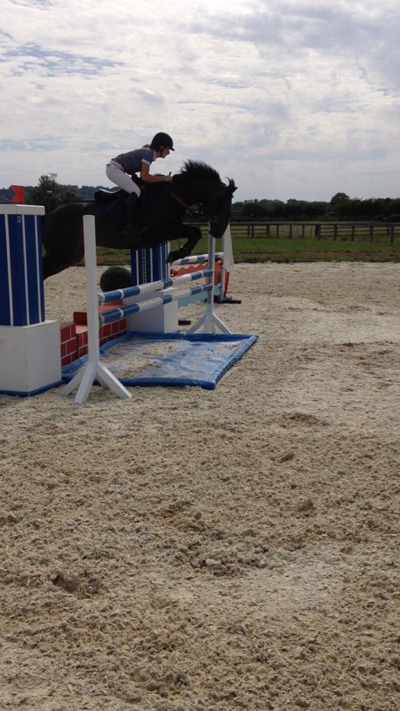 JossWilliams5's tweet photo. Productive morning at WilliamsHQ, all horses worked before lunch and Seamus has been dropped of at his new home!! http://t.co/vGYZpyoj0G