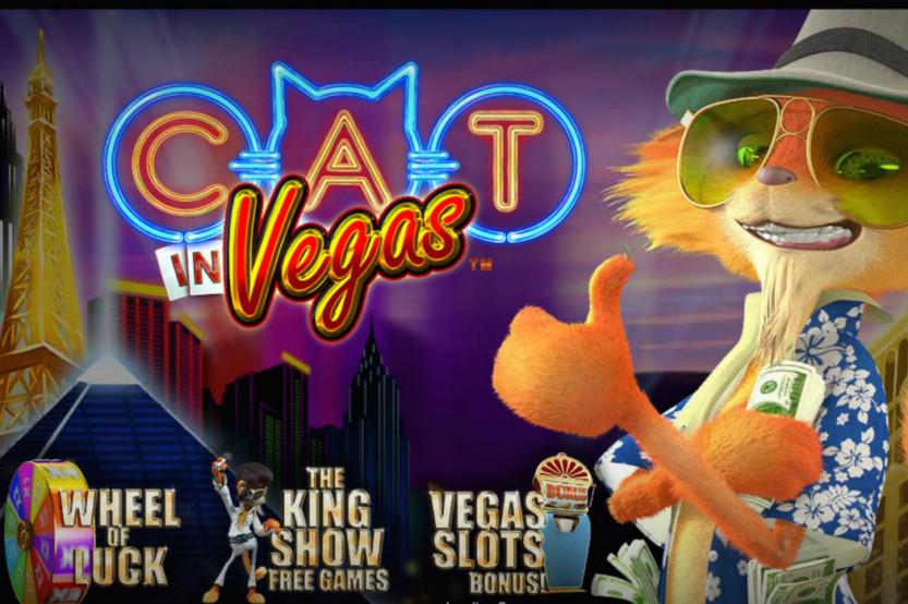 Mr21nova's tweet photo. Cat in #Vegas #slot, now available at #21Nova Casino, from the comfort of their homes.
http://t.co/aa4IDvhTC4 http://t.co/09tFRLZlrv