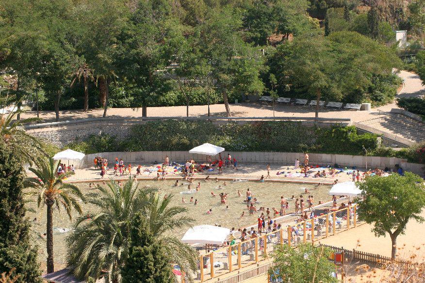 bcn_ajuntament's tweet photo. Durant l'#estiubcn gaudeix de la zona de banys del llac del parc de la Creueta del #Coll: http://t.co/dDwnKhqM6L http://t.co/7S8wzX9zXR