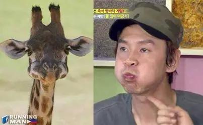 Happy Birthday to Asia\s Prince, Lee Kwang Soo @ Girin/giraffe   