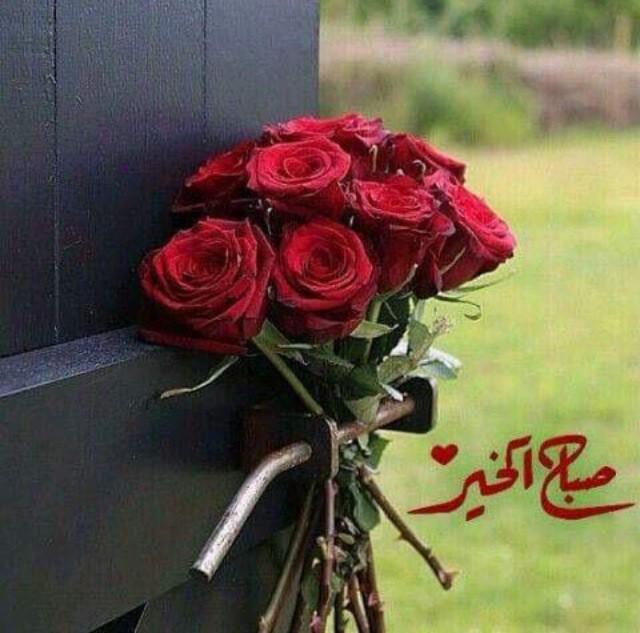 telal_503's tweet photo. @3927_th 

وصبااحك أسعد ،، 🌹

-

- http://t.co/1KO0V8nZhY