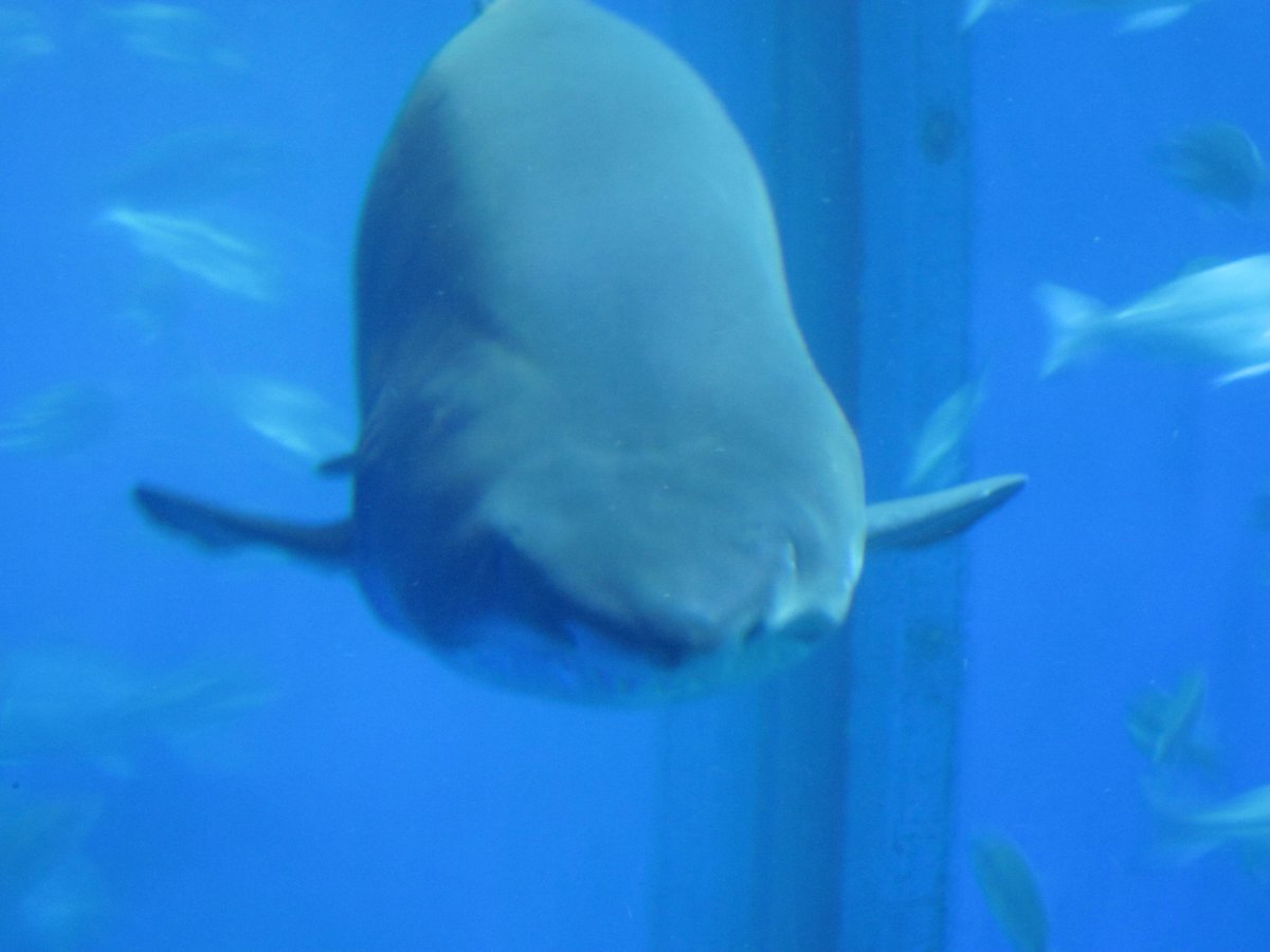 MariaFranz's tweet image. 