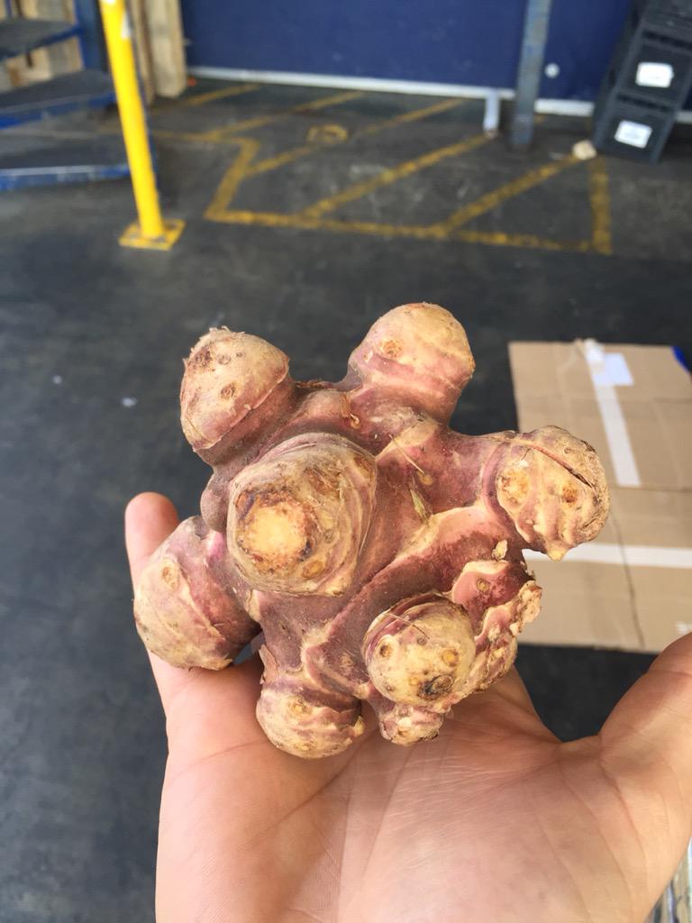 London_FD's tweet image. Monster sized #Jerusalemartichokes here today!