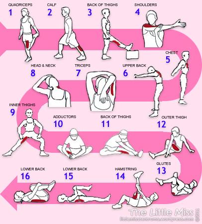 CENTROFISIOS's tweet photo. ¿Has terminado de #entrenar? ¡Estírate! http://t.co/Cj8bX5IGSm