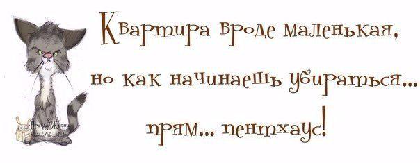 MariaFranz's tweet image. 